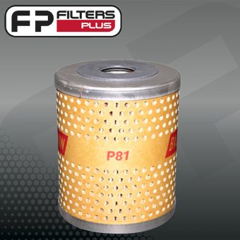 P81
