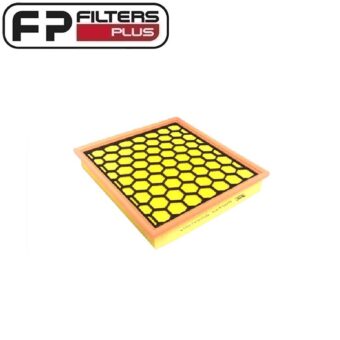 WA5579 Wesfil Air Filter Perth Fits LDV T60 Melbourne