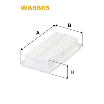 WA6665