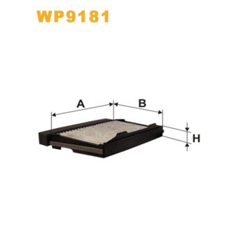WP9181